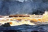 Rapids Canvas Paintings - Fishing the Rapids Saguenay